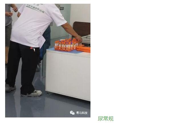 尿常规